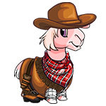 gnorbu-outfit-cowboy-7391199
